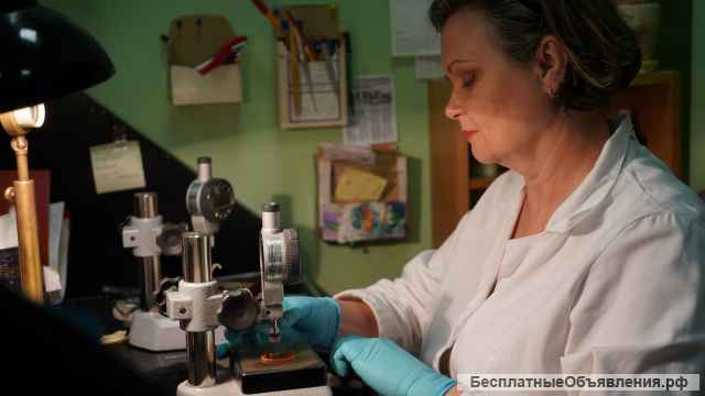 Изготовление оптических изделий и нанесение покрытий любой сложности