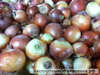 Свежие фрукты и овощи из Ирана