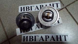 600-421-6310 Термостат 600-421-6310