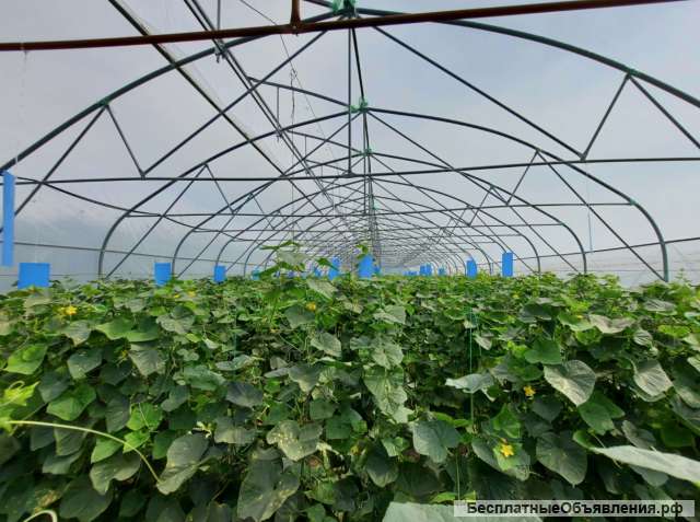 Фермерские теплицы от производителя