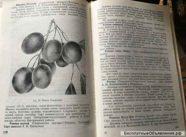 В.Ф. Смирнов. Сорта плодовых деревьев. садов средней полосы СССР
