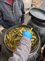 Огурцы маринованные целые Индия 6-9 см и 9-12 см