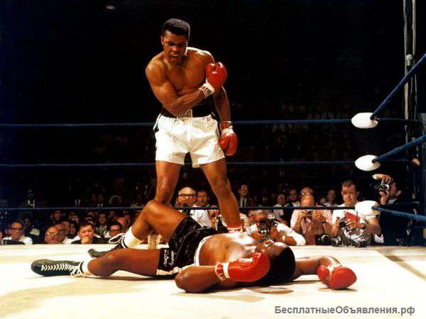 Тренировки по Боксу