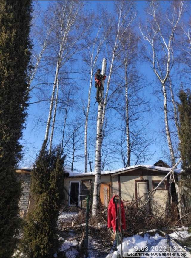 Удаление деревьев