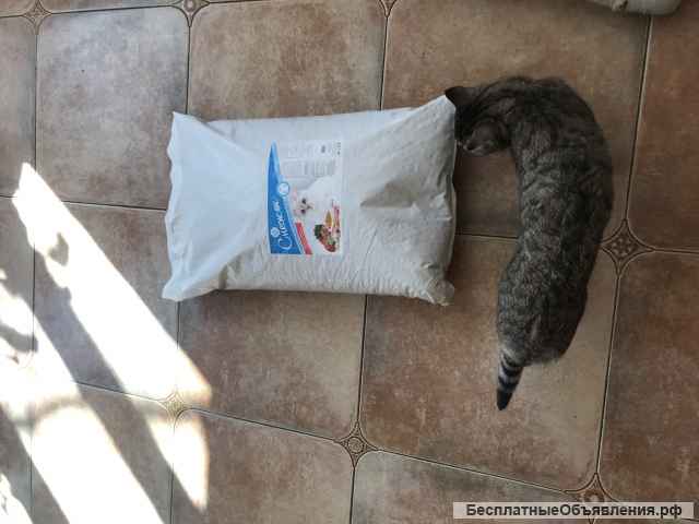 Сухой корм кошек. Без искусственных добавок. 10 кг