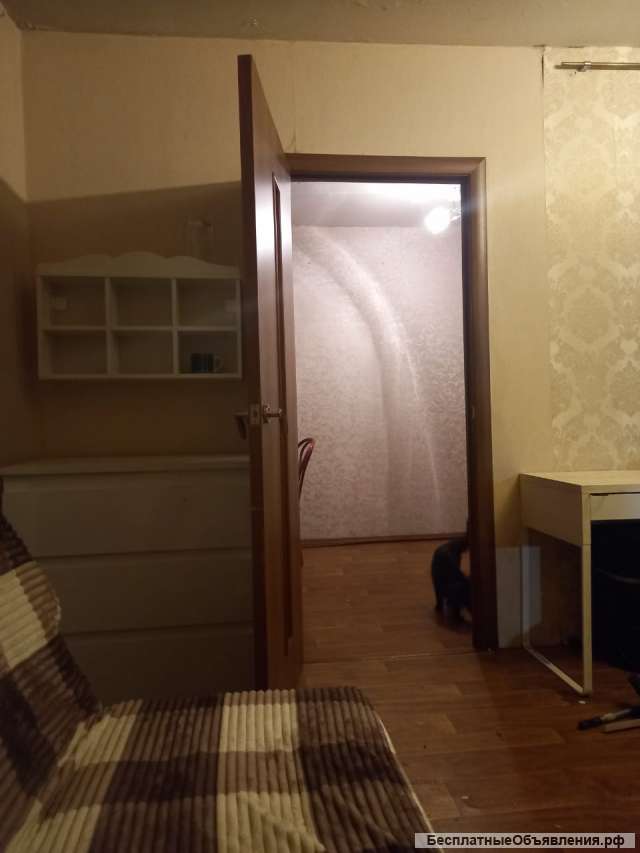 2-комнатная квартира в Хлебниково