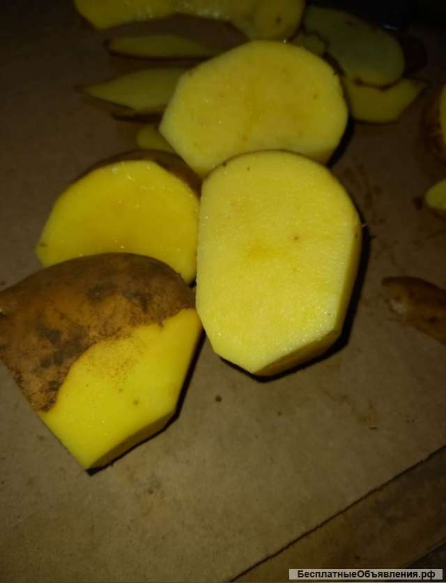 Картофель 5+ оптом от производителя