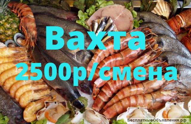 Упаковщик вахтовым методом в Москве