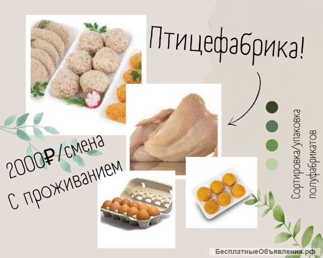 Упаковщик куриных полуфабрикатов вахта 35-45 с проживанием, питанием