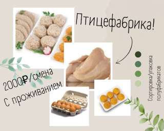 Упаковщик куриных полуфабрикатов вахта 35-45 с проживанием, питанием