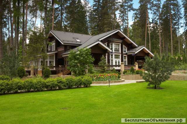 Семейная пара
