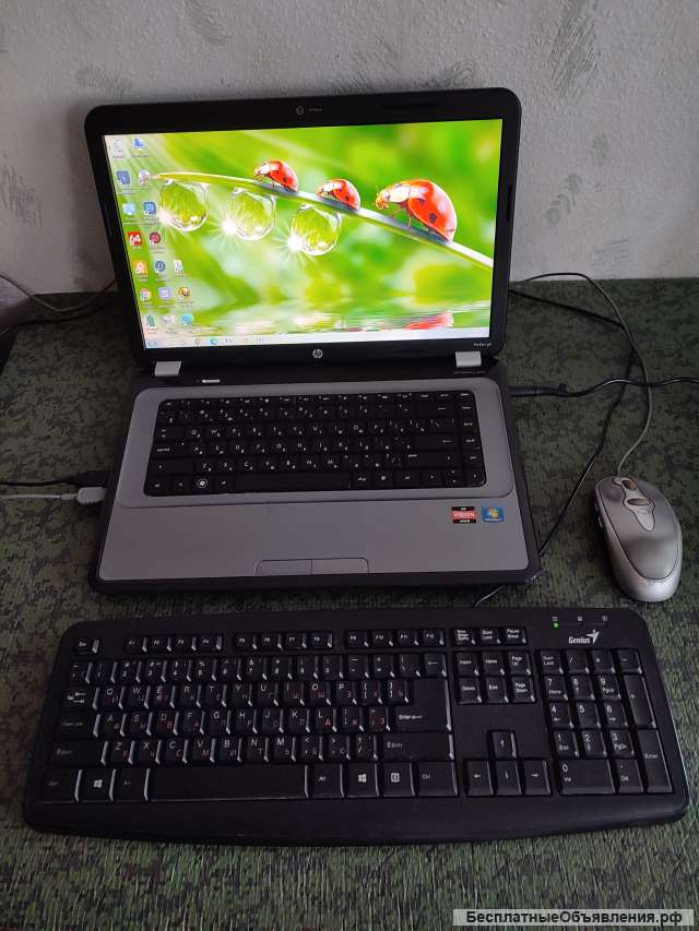 Ноутбук Hp g6-1360er для дома