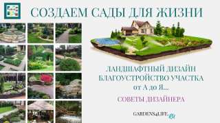 Необходимо заказать квалифицированное озеленение и благоустройство территории?
