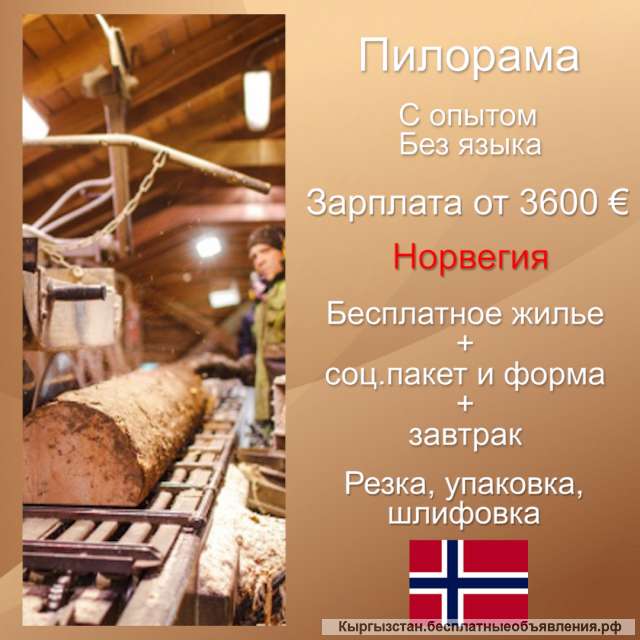 Высокооплачиваемая работа в Норвегии на пилораме для мужчин. Бесплатное жилье и обед