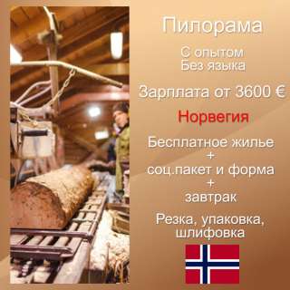 Высокооплачиваемая работа в Норвегии на пилораме для мужчин. Бесплатное жилье и обед + соц.пакет.