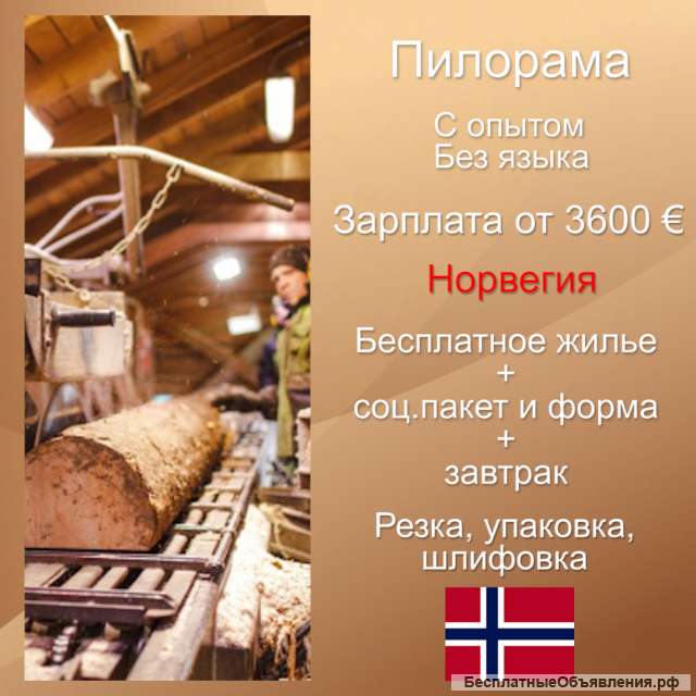 Высокооплачиваемая работа в Норвегии на пилораме для мужчин. Бесплатное жилье