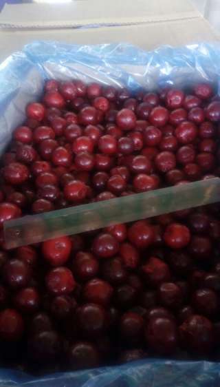 Вишня б/к замороженная