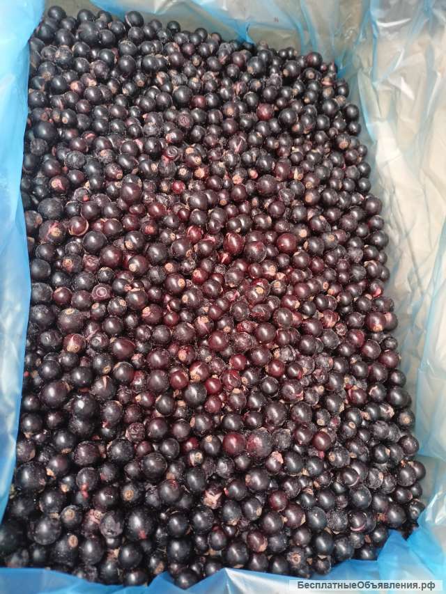 Черная смородина замороженная