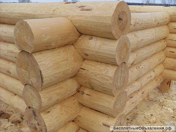 Срубы домов бань дачные домики