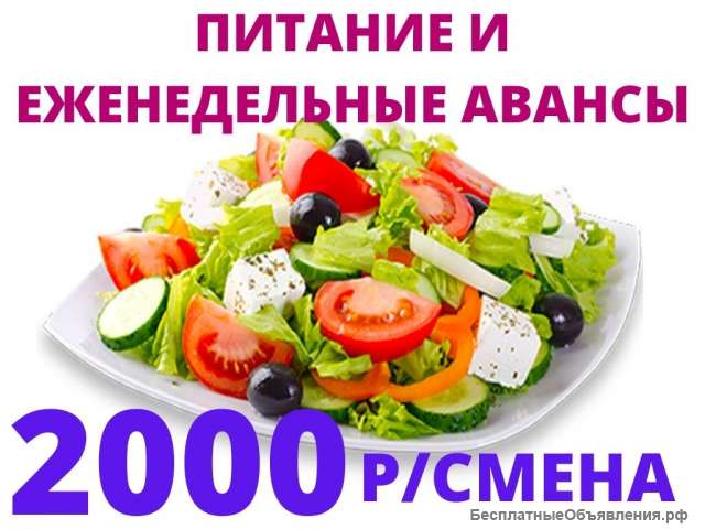Сотрудники в кафе Без Опыта Еженедельные Авансы Питание