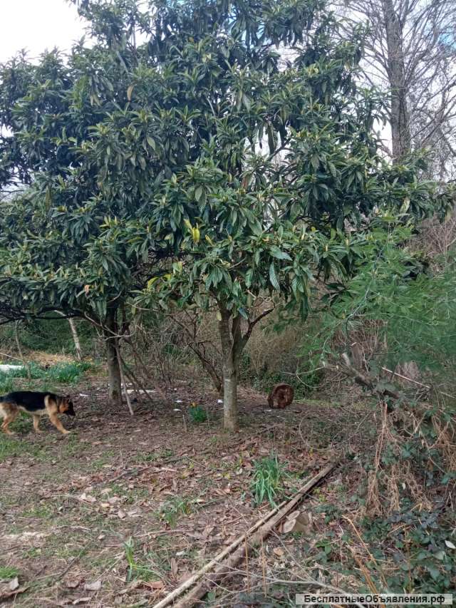 Земельный участок 4 сот ИЖС Сочи. с.Нижняя Шиловка.