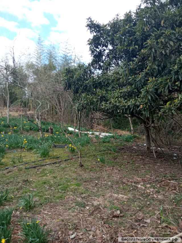 Земельный участок 4 сот ИЖС Сочи. с.Нижняя Шиловка.