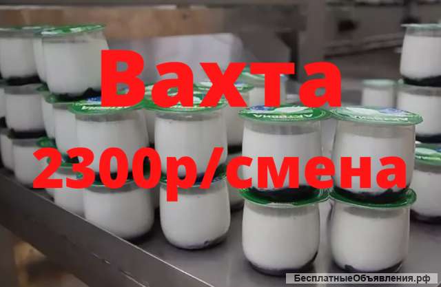 Упаковщик йогурта на конвейер вахта
