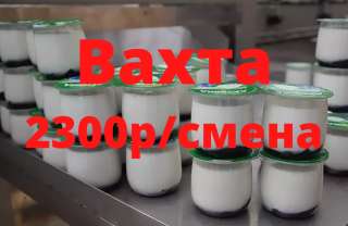 Упаковщик йогурта на конвейер вахта