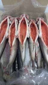 Радужная форель