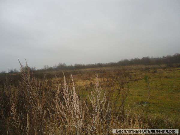 Земельный участок 10 га в Ярославской области