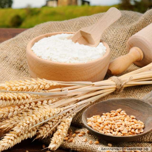 Мука пшеничная хлебопекарная. Высший и 1 сорт (ГОСТ) Собственное производство