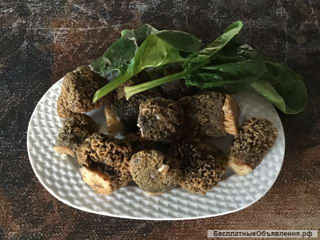 Свежие грибы сморчки