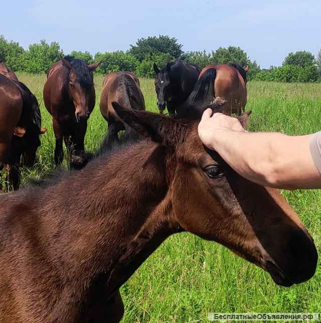 Образовательный туристический детский лагерь ГеоКемп