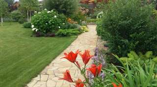 Ухаживаем за садами комплексно