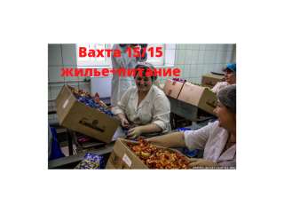 Работа упаковщик шоколада вахтой 15/15 в Москве