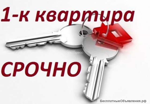 Арендую 1кк на длительный срок