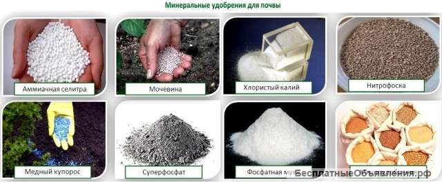 Закупаем калийные удобрения