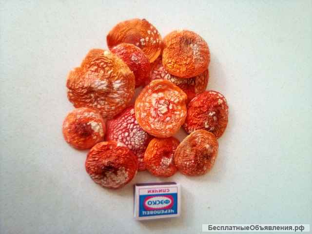 Мухоморы красные сухие