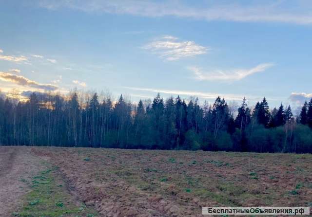 Участок возле леса и водохранилища. Лпх