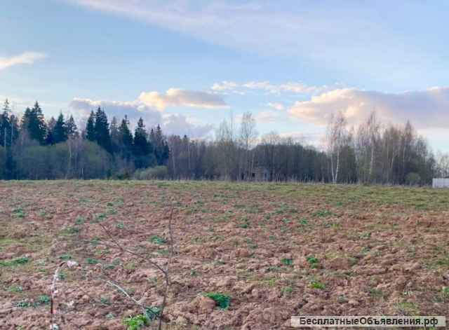 Участок возле леса и водохранилища. Лпх