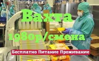 Вахта с питанием на птицефабрике