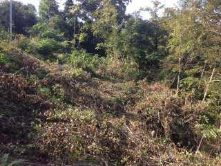 Земельные участок