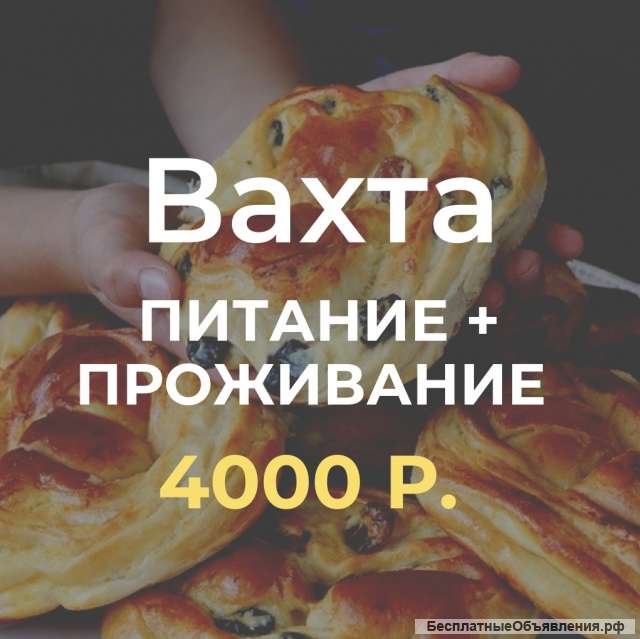 Упаковщик вахта с проживанием и питанием Москва