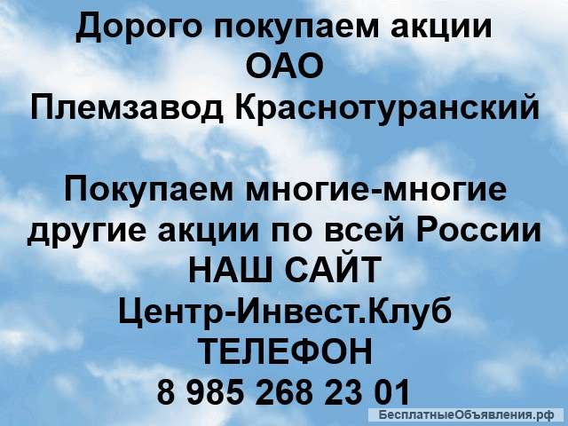 Покупаем акции ОАО Племзавод Краснотуранский и любые другие акции по всей России