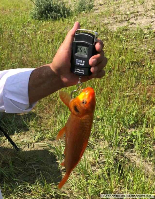 Земельный участок 8.4 соток в Снт Венеция 27км от г.Тюмень