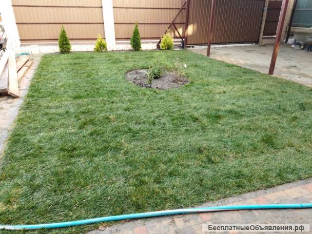 Ростовские рулонные газоны укладка газона