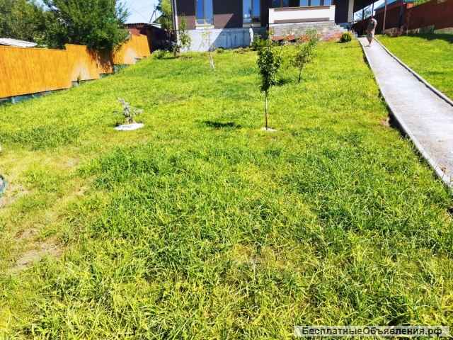 Ростовские рулонные газоны укладка газона