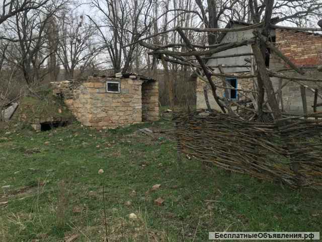 Хутор Нижнерусский