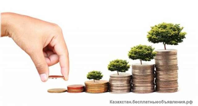 Ищем инвесторов в сфере юридического бизнеса