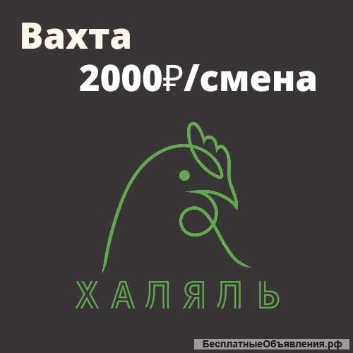 Разнорабочий в цех убоя птицы халяль вахта проживание питание